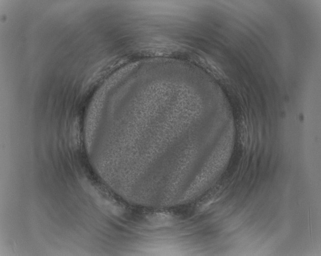 X0000061760594200512231553