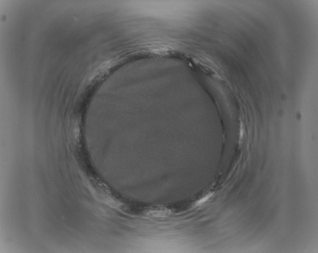 X0000061760595200512231553