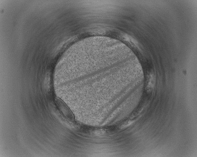 X0000061760600200512231553