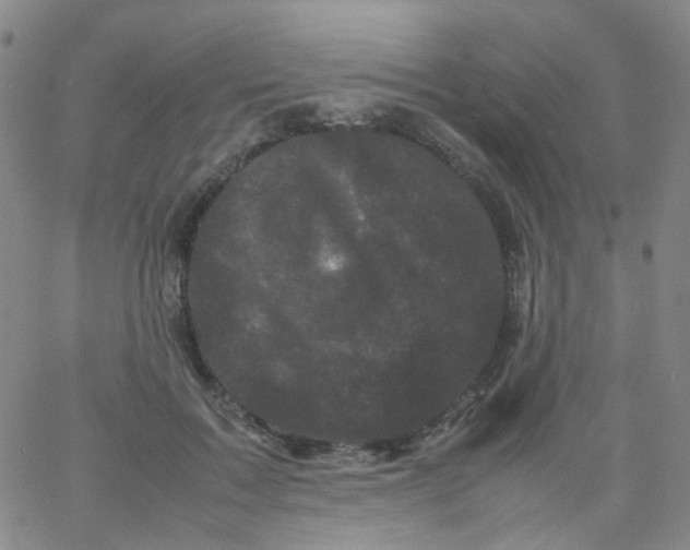 X0000061760603200512231553