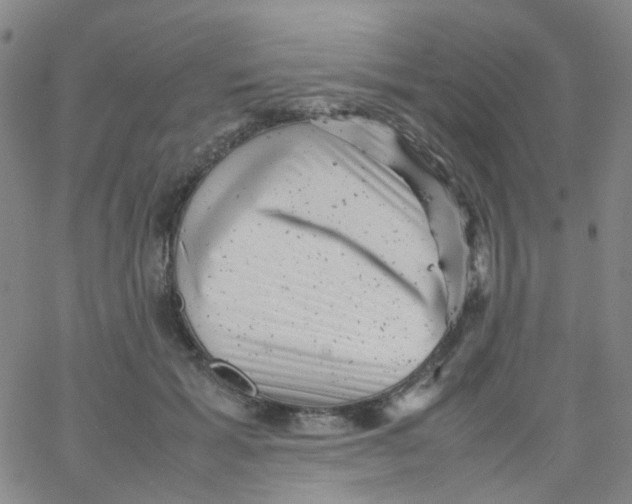 X0000061760605200512231553