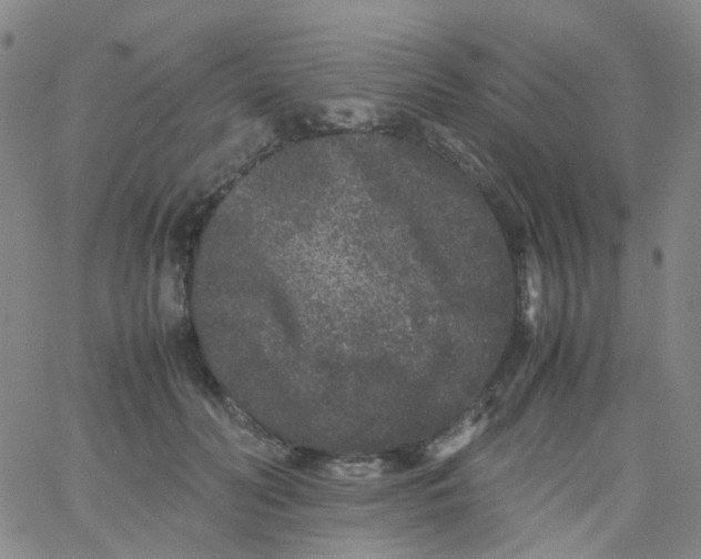 X0000061760606200512231553