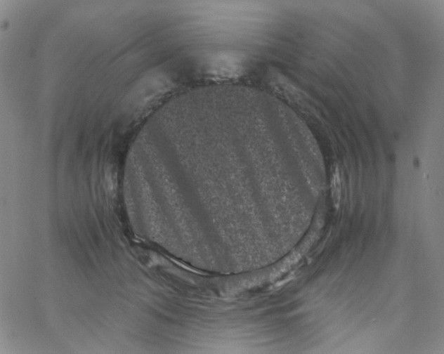 X0000061760608200512231553