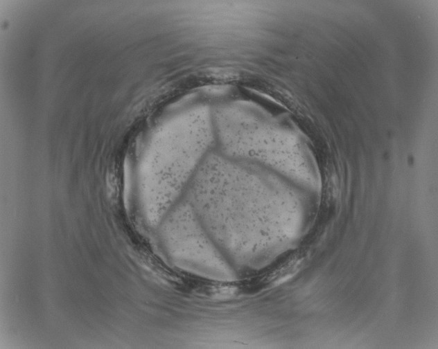 X0000061760609200512231553