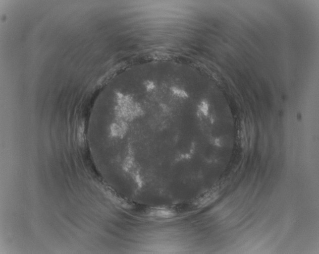 X0000061760610200512231553