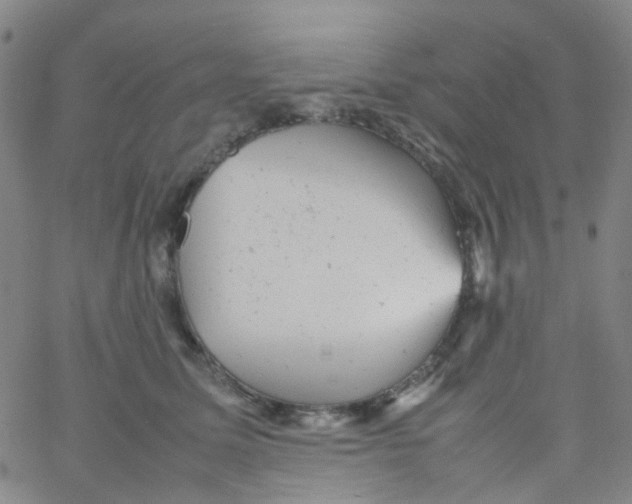 X0000061760611200512231552