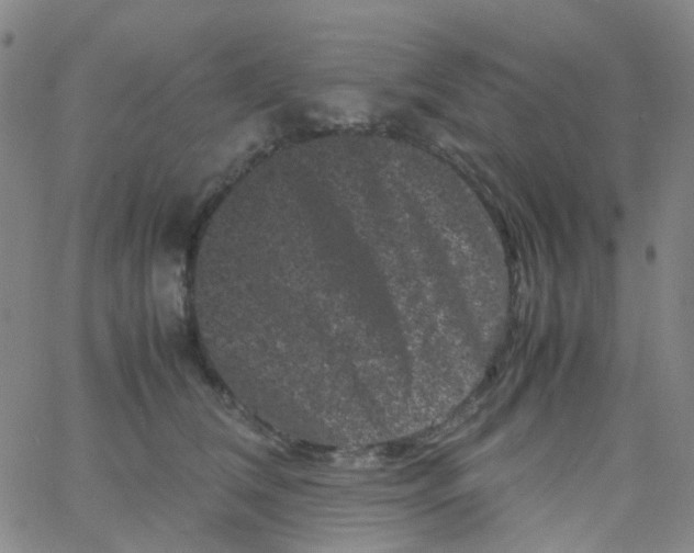 X0000061760612200512231552