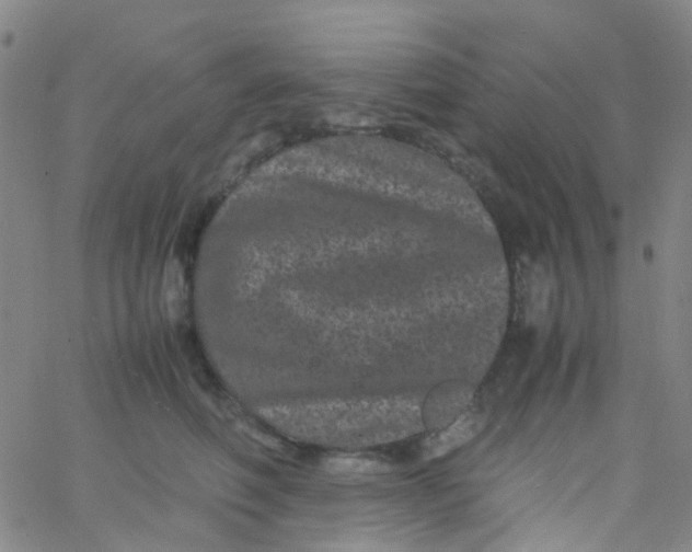 X0000061760614200512231552