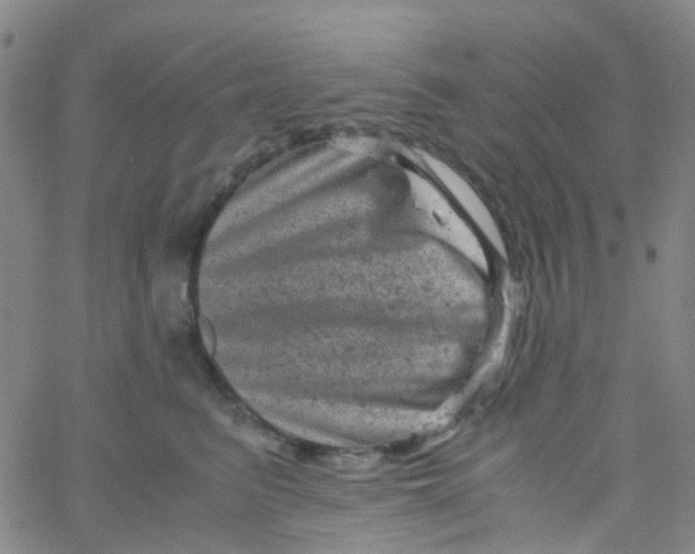 X0000061760615200512231552