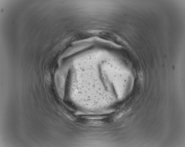 X0000061760617200512231552