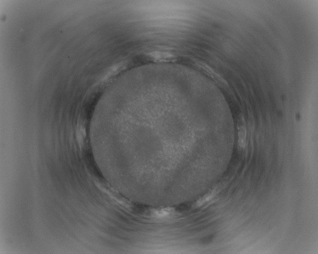 X0000061760618200512231552