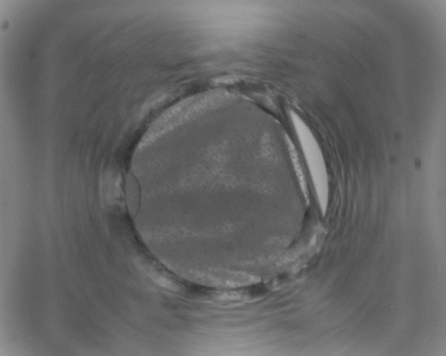 X0000061760619200512231552