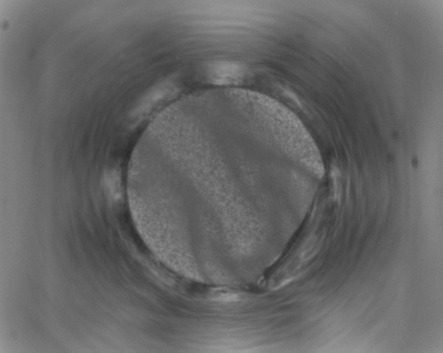 X0000061760620200512231552