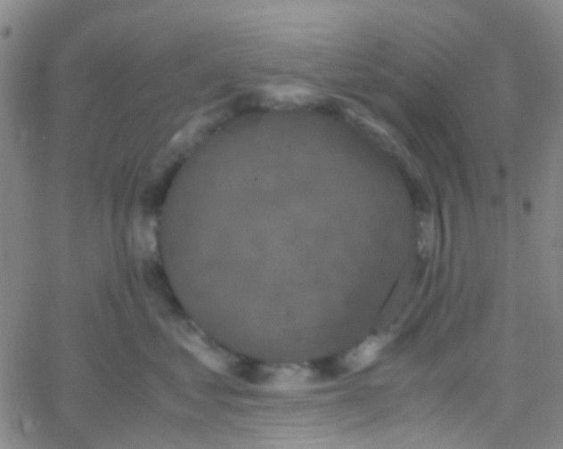 X0000061760621200512231552