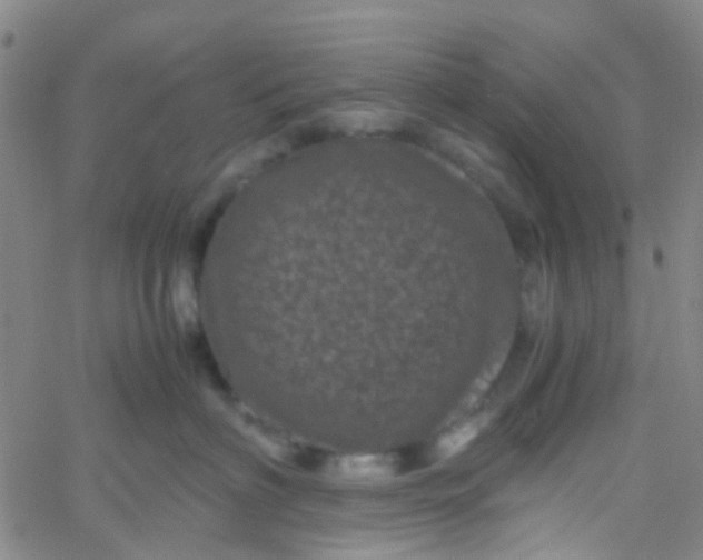 X0000061760622200512231552