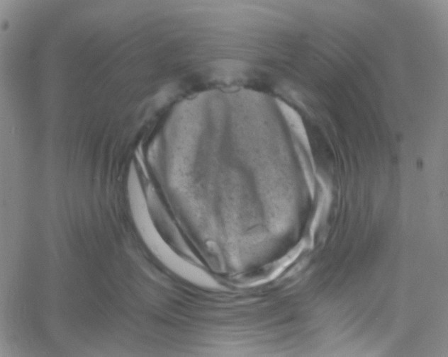 X0000061760623200512231552