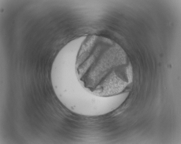 X0000061760624200512231552