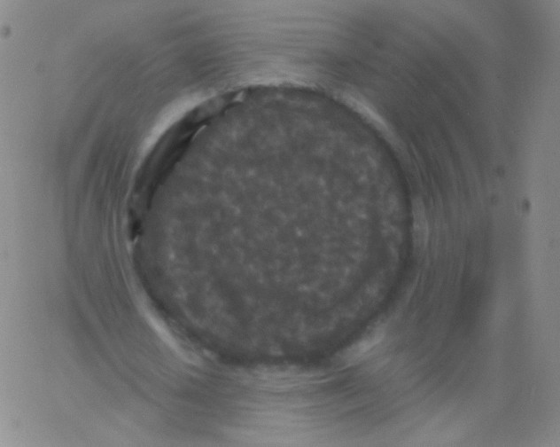 X0000061760626200512231552