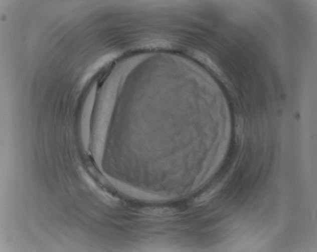 X0000061760629200512231552