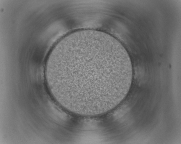 X0000061760632200512231552