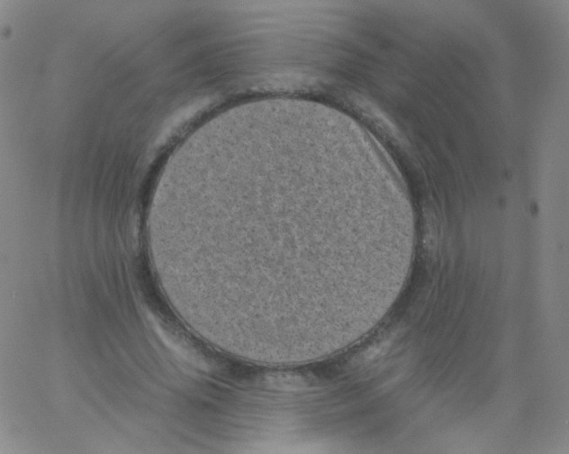 X0000061760636200512231552