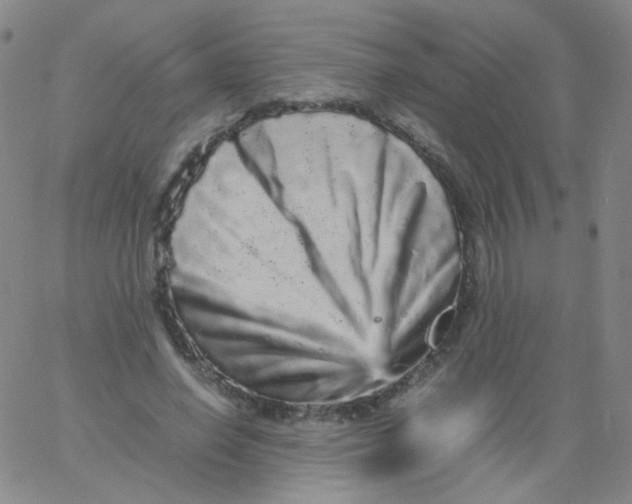 X0000061760638200512231552