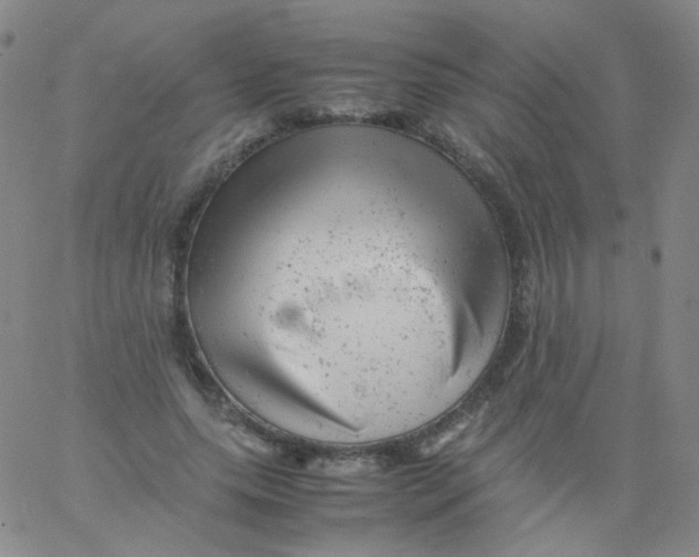 X0000061760639200512231552