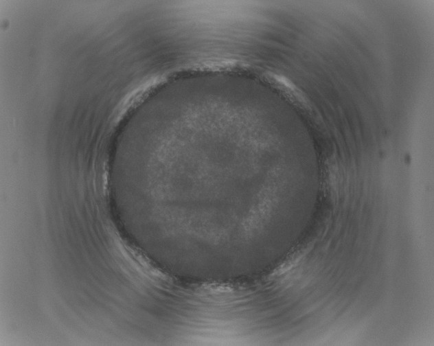 X0000061760640200512231552