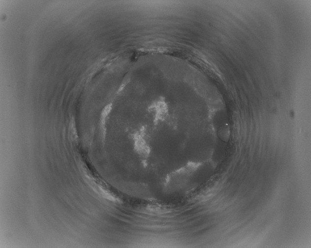 X0000061760641200512231552