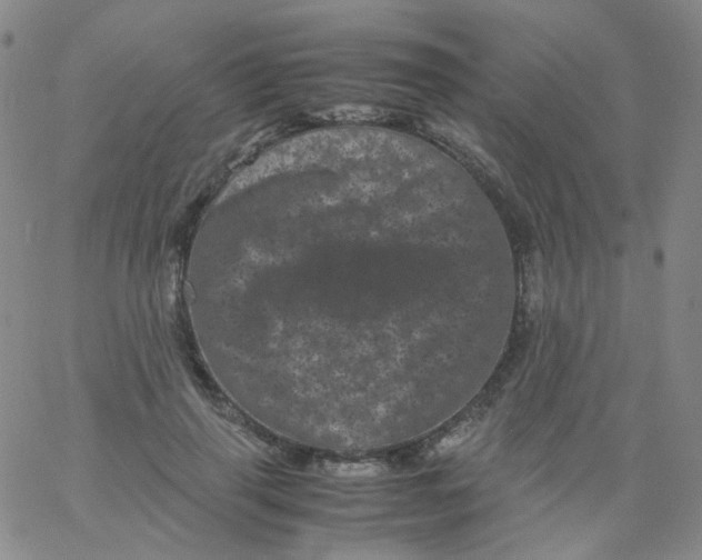 X0000061760645200512231552