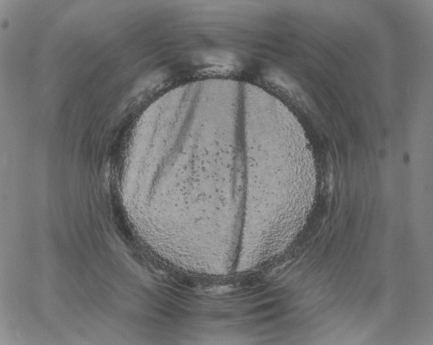 X0000061760647200512231552