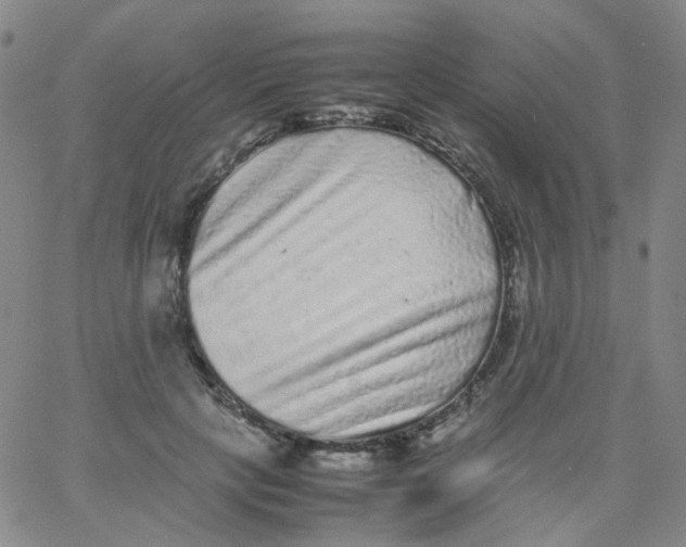 X0000061760649200512231552