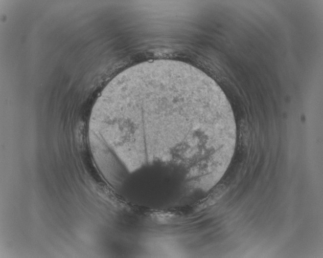 X0000061760650200512231552