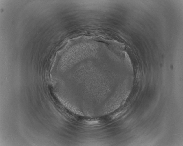 X0000061760651200512231552