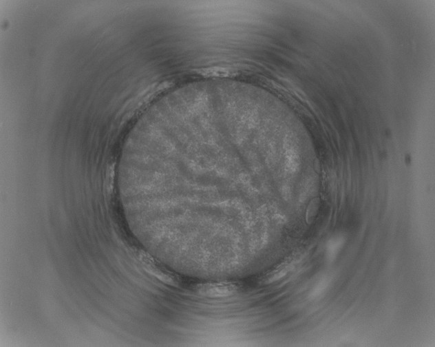 X0000061760652200512231552