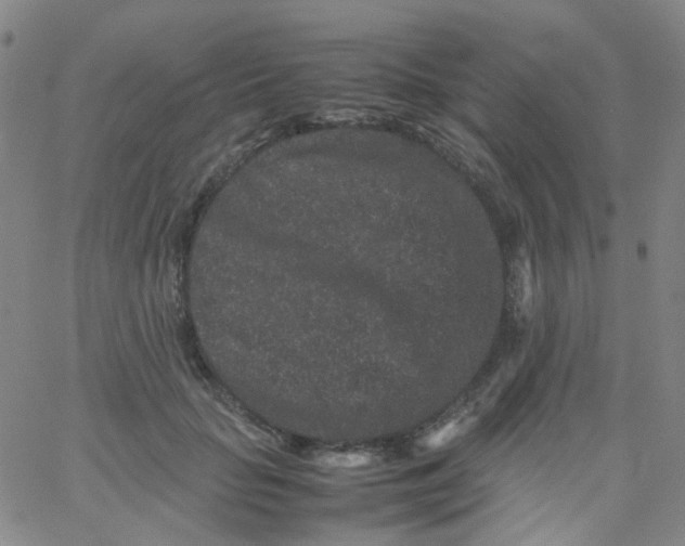 X0000061760653200512231552