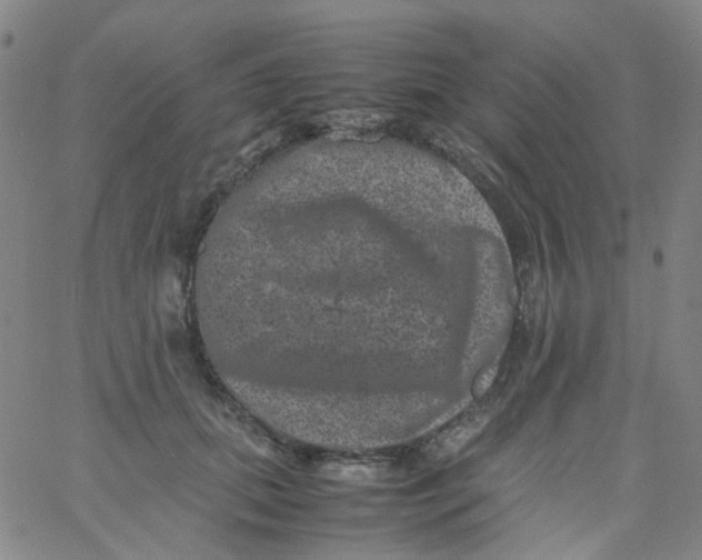 X0000061760655200512231552