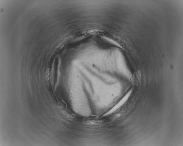 X0000061760657200512231552