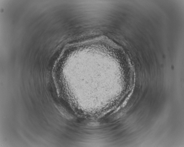 X0000061760658200512231552