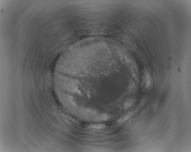 X0000061760659200512231552