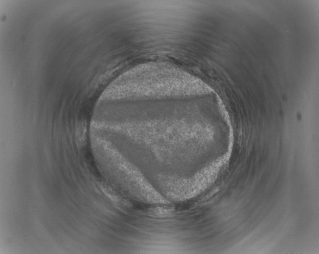 X0000061760660200512231552