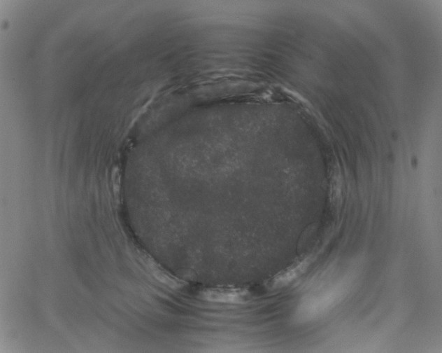 X0000061760661200512231552