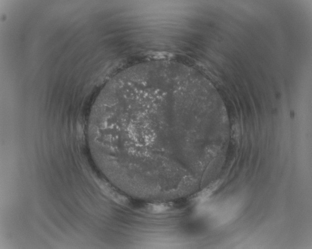 X0000061760662200512231552