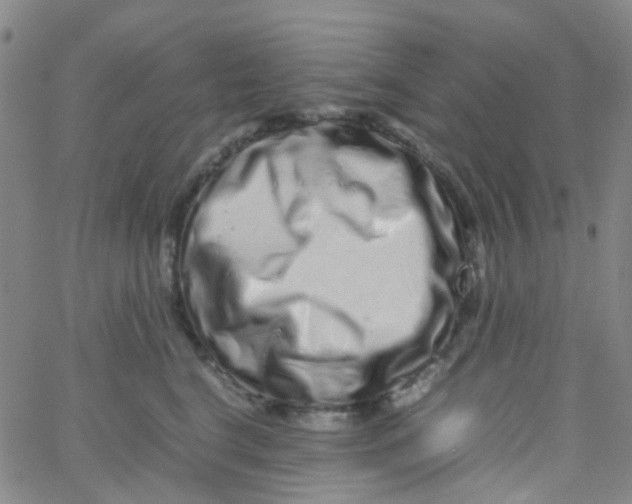 X0000061760664200512231552