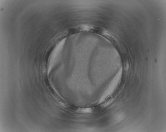 X0000061760665200512231552