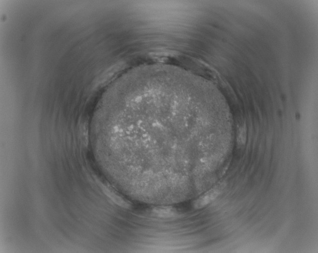 X0000061760666200512231552