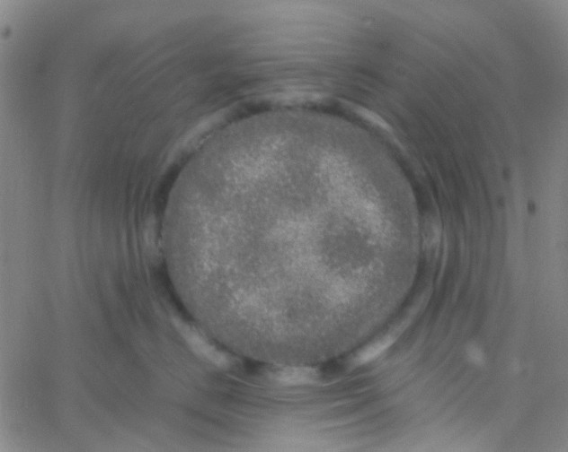 X0000061760670200512231552