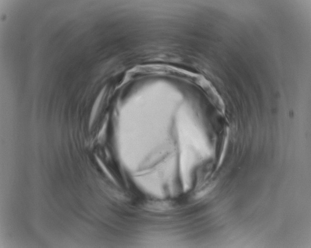 X0000061760671200512231552