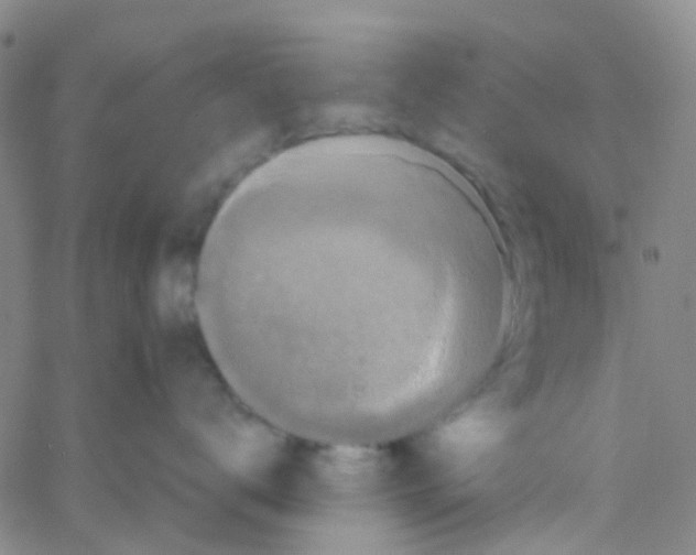 X0000061760672200512231552