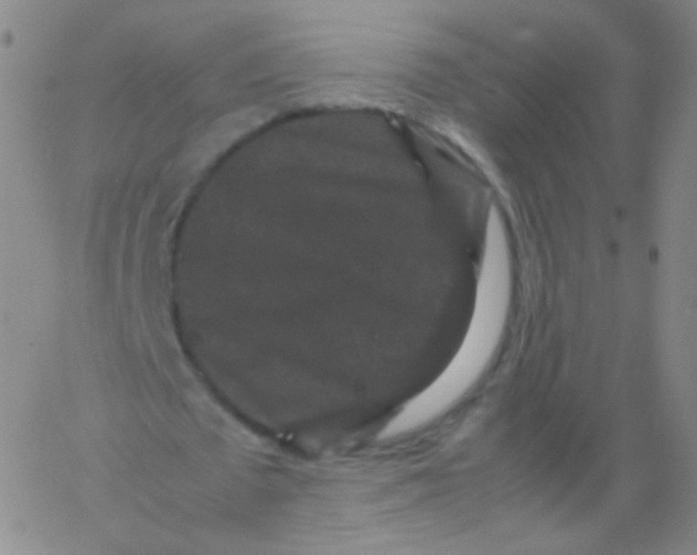 X0000061760673200512231551